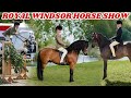 Competing at royal windsor horse show