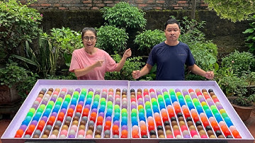 Puzzle sort ball game solve and challenge very quick