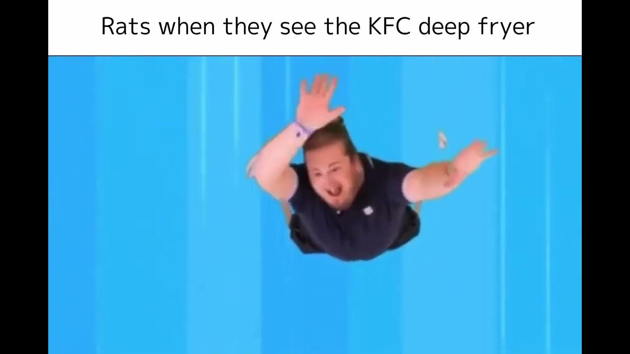 Rats when they see the KFC deep fryer. Purplecliffe YouTube