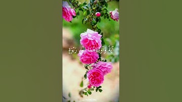 وَجَعَلْنَا ابْنَ مَرْيَمَ وَأُمَّهُ آيَةً |سورة المؤمنون |الشيخ المنشاوي💙🩵