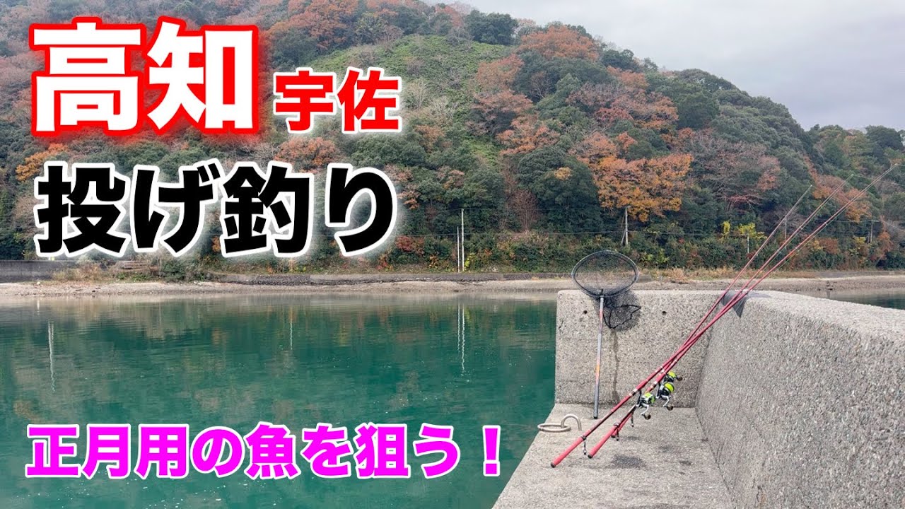 高知（宇佐）の投げ釣り　正月用の魚を狙う！