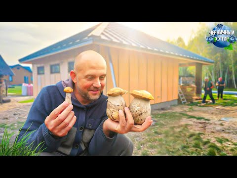 Жизнь идёт своим чередом: свинка в лесу делает гнездо, кормимся грибами и рыбой, гараж строится.