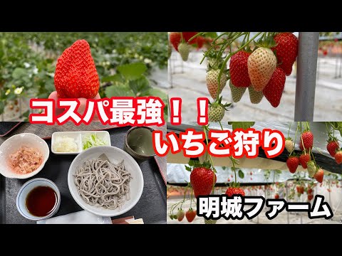 明城ファームの動画