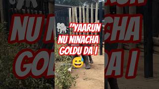 🐘"Yaarunnu Ninacha Goldu Da | 😅 #comedyshorts #elephant #funny #comedy #tamilmemes #tamilmeme #seo