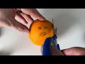 Asmr  giving an orange a haircut