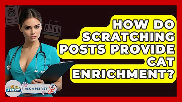 How Do Scratching Posts Provide Cat Enrichment? - Ask A Pet Vet