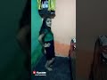 Raj Whatsapp Status Video Download Free