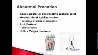 synovialjoints2PronationSupinationSubtalarJoint