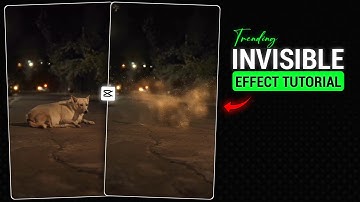 How To Make Invisible Effect in Capcut | Intro Stardust Tutorial in Capcut
