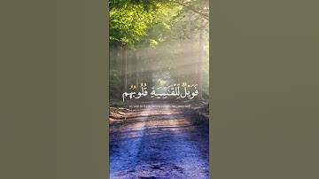 #قرآن #ياسر_الدوسري (أفمن شرح الله صدره للإسلام..) إبداعات من سورة الزمر الآيه 22🌹