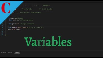 "C Programming Basics: Types of Variables Explained part:2