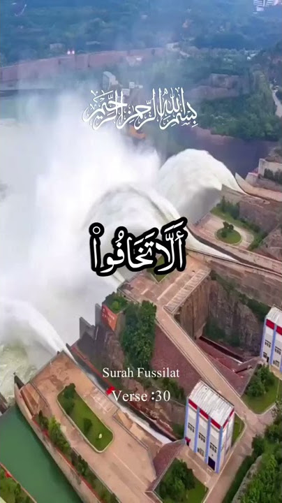 Best Quran Recitation || Best Tilawat e Quran e Pak beautiful voice Masha Allah