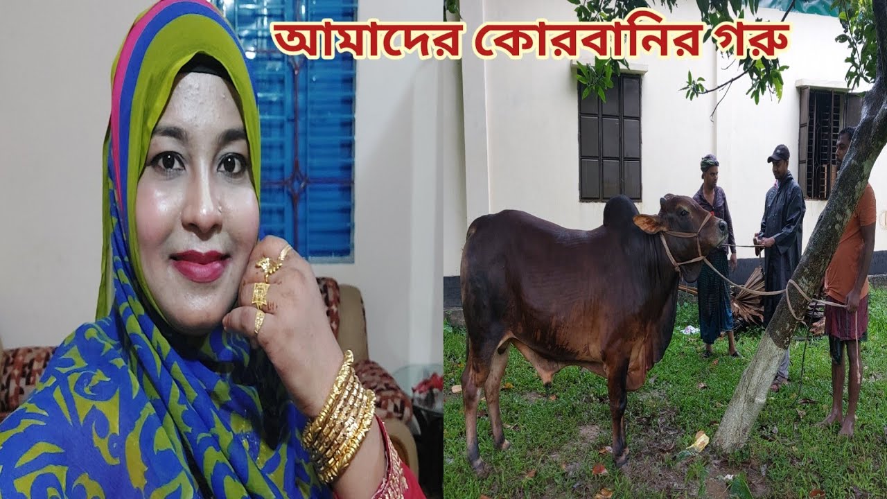 কোরবানির গরু কিনলাম সাথে ঈদের প্রস্তুতি নিলাম!🇧🇩 #কোরবানির_গরু