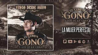 Miniatura del video "El Compa Gono y Los de la Ceiba - La Mujer Perfecta"