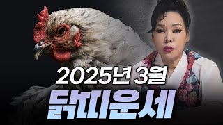2025년 을사년 양력 3월 닭띠 운세 | 93년생 81년생 69년생 57년생