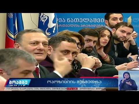 ოპოზიციის მორიგი კონსულტაცია