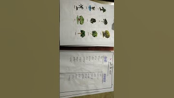 d.el.ed 1st semester || Sanskrit || Paper 7 || Project file