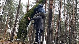 видео: Накормили зятя и в лес! Офигеть,так мы ещё грибы не собирали! Мы как в цирке,зачем Свете на дерево? картинка: Накормили зятя и в лес! Офигеть,так мы ещё грибы не собирали! Мы как в цирке,зачем Свете на дерево?
