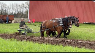 West Michigan Draft Horse Club Plow Day