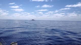 IMG 1048