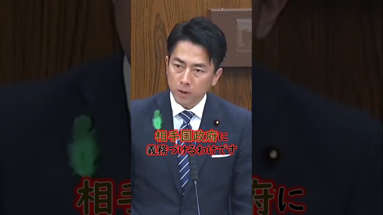 ●傷兵器の輸出、ルールは文書に書かれていなかった！？小泉防衛相「国連のルールに従うよう、相手国を義務づけるわけです」 #小泉進次郎 #武器 #輸出 #防衛装備品 #国会 #shorts