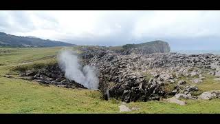 Thar she blows (Bufones de Santiuste)
