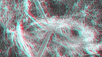 Nanowire Micromanipulation in 3D