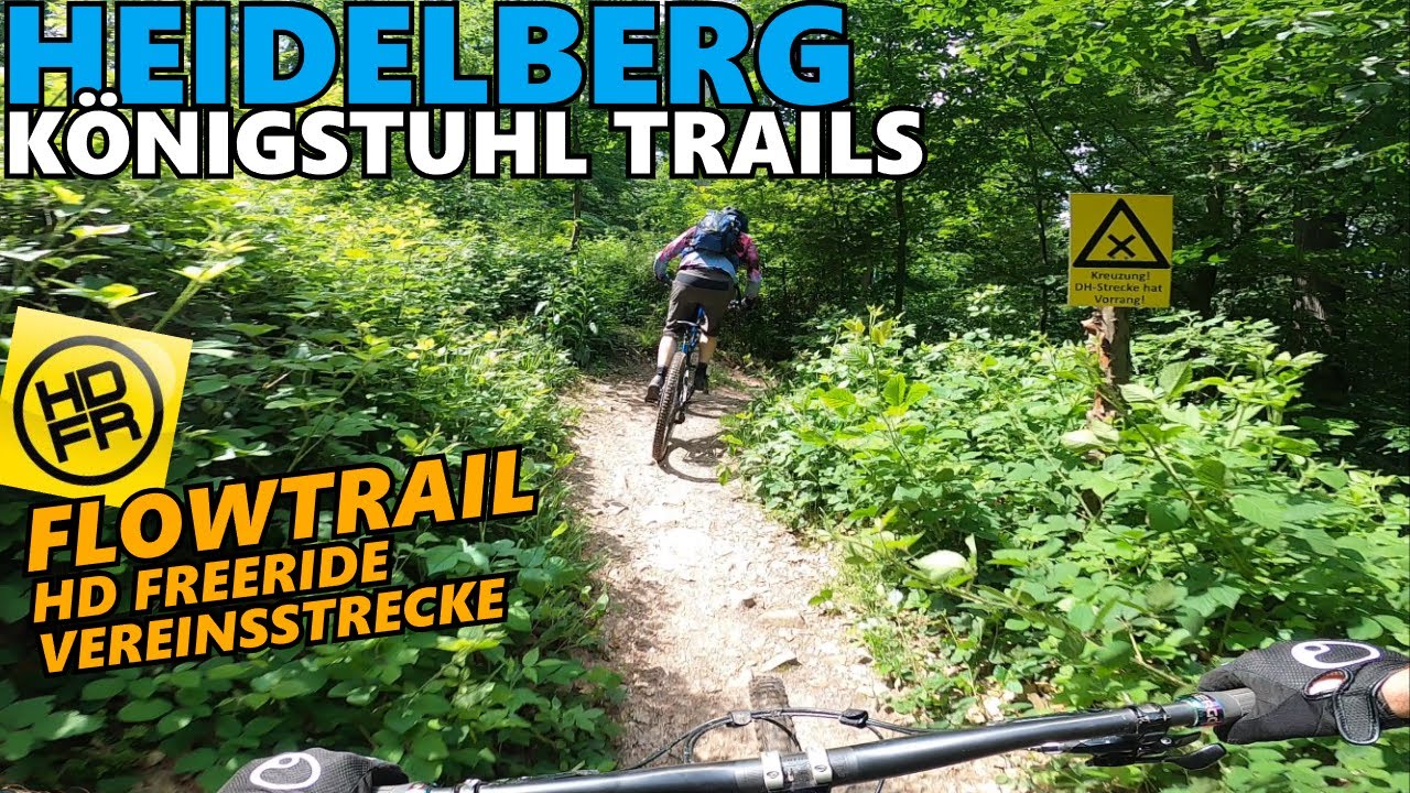 HEIDELBERG KÖNIGSTUHL Flowtrail HD Freeride e.V. / Mountainbike - JAY'S TRAILSPEICHER