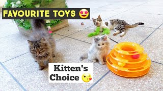 Kitten's Favourite toys   | Best Toys for Cats & Kittens | Best Cat toys in Pet Shop