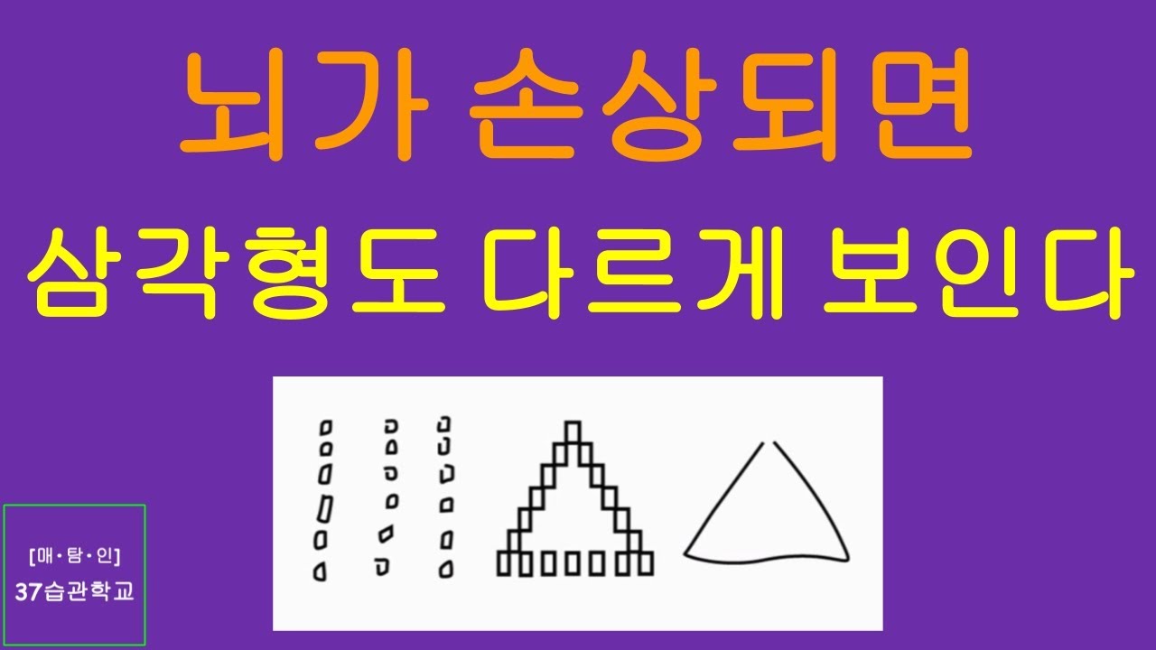 매탐인 좌뇌 우뇌 - 우뇌와 좌뇌 중 한 쪽이 손상된 사람은 삼각형을 다르게 본다 - YouTube