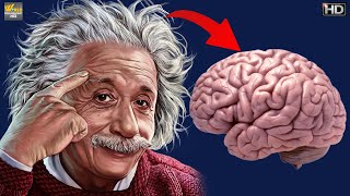 अल्बर्ट आइंस्टीन का दिमाग क्यों था खास - Superhuman Albert Einstein | World Documentary HD