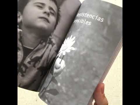Reconocer la diversidad