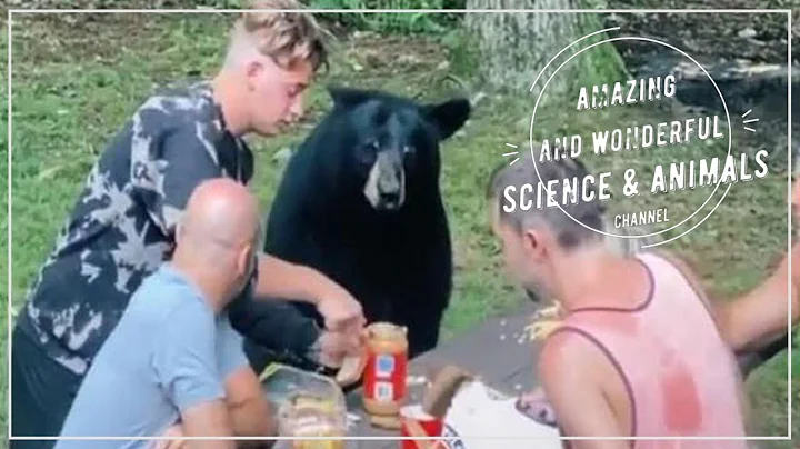 Nothing to see here, just having a casual picnic