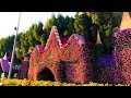 Очень Красивый Парк  Цветов  в Дубае  Miracle Garden