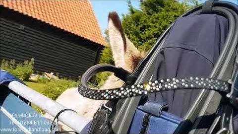 Stubben Magic Tack Bridle from Forelock and Load