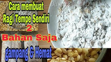 Thumbnail of Cara membuat ragi tempe sendiri dgn 2 bahan saja,gampang dan hemat + cara membuat tempe