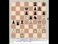 Stockfish 18 vs Wahoo 4 | King's Pawn: Sicilian Richter Rauzer Variation #chess