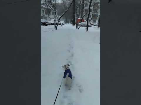 Хде глобальновое подтепление?