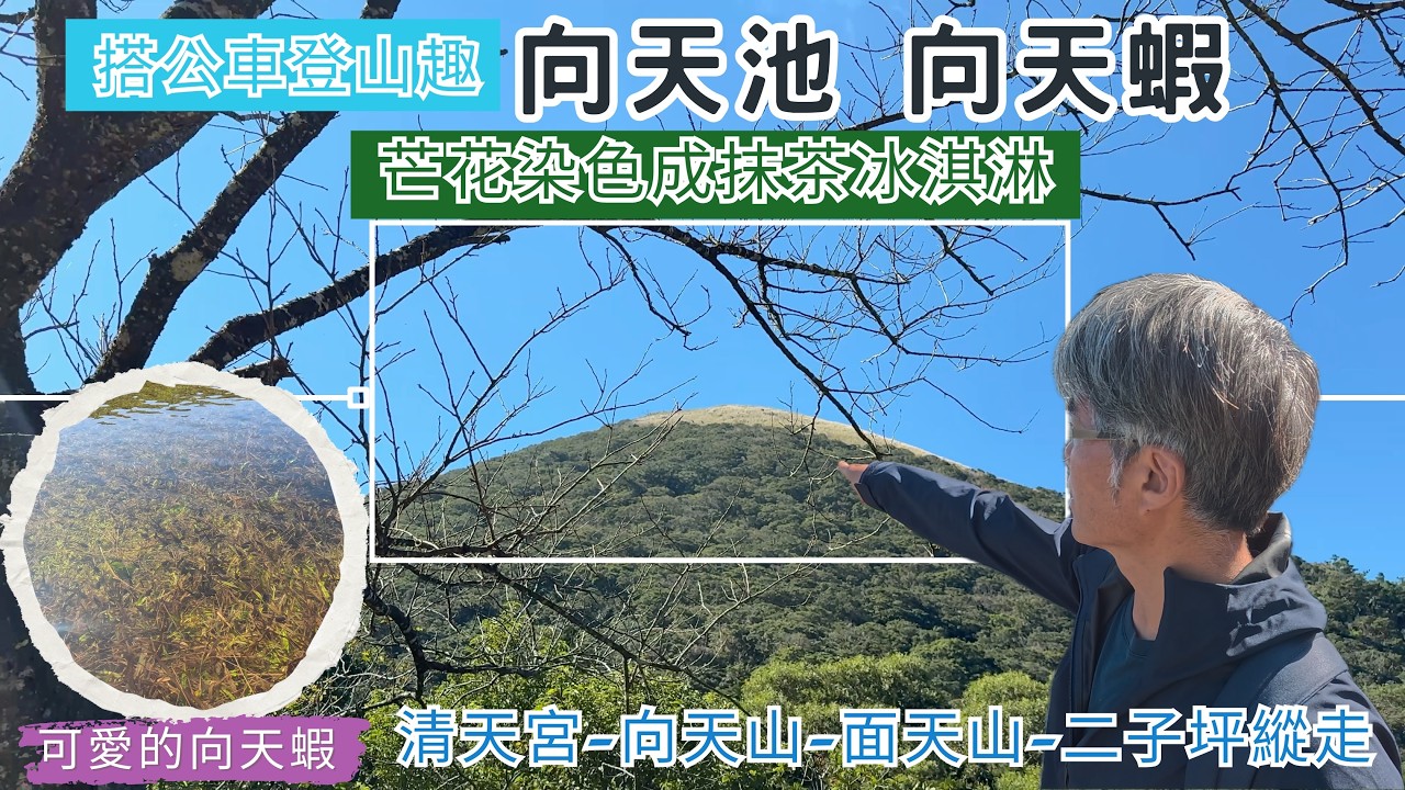 搭公車登山趣 向天池 向天蝦 ep319『絕美的向天池,探尋如綠葉般的向天蝦,抹茶冰淇淋的面天山,向天山芒花盛開,夢幻的二子坪生態池,面天山無敵的展望,巧遇熱情觀眾』