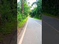 #Nilgiri road#Nilgiri road ||ନୀଳଗିରି ରାସ୍ତା ର ଦୃଶ୍ୟ||jungle road #jungleboylifestyle #shortvideo
