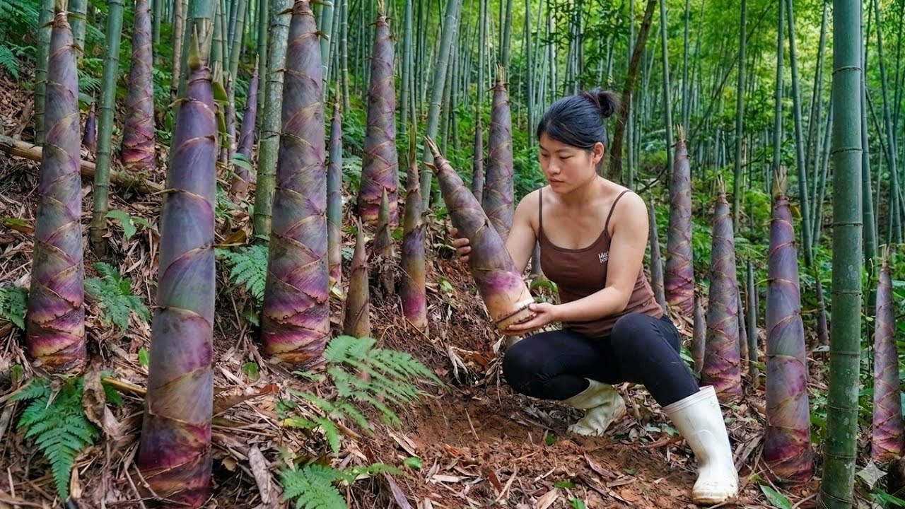 Leaving the city for the countryside - The CEO went into the forest to ...