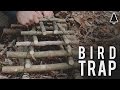 Arapuca Bird Trap - Bushcraft