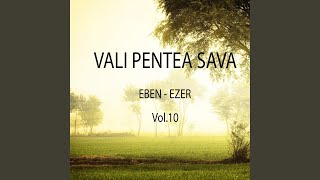 Video thumbnail of "Vali Pentea Sava - La multi ani cu Isus"