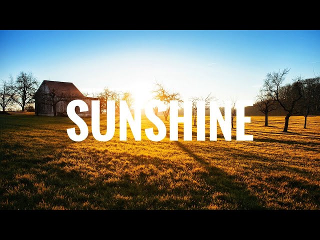 Perdue Farms Sunshine Day Commercial - The Brady Bunch Sunshine Day class=