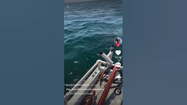 Thats Not a Basking Shark