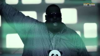 Desaparecidos Feat. Big Ali - Go Crazy D-Bass Remix