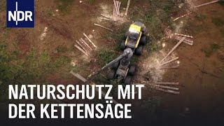 Bäume fällen für den Naturschutz | Die Nordreportage | NDR Doku
