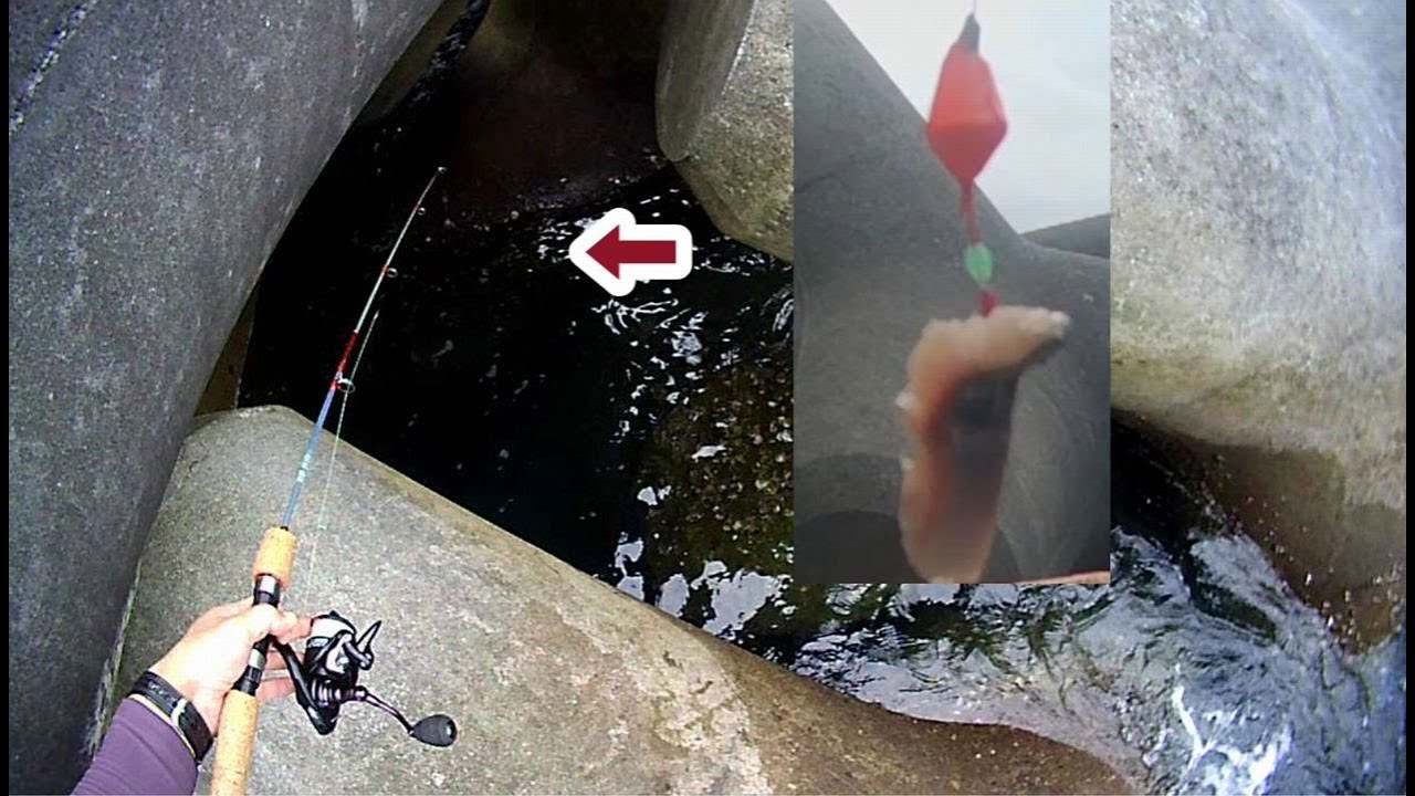 I fish with a wave dissipating block.  "anatsuri(穴釣り)" is popular fishing in japan.