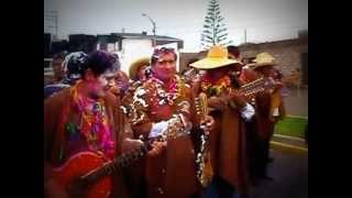Video thumbnail of "Carnaval Loncco Caymeño 2013 Asociacion Cultural del Carnaval Loncco de la  Acequia Alta"