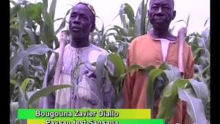 ONG AMEDD - L'aménagement des champs pour une agriculture durable au Mali